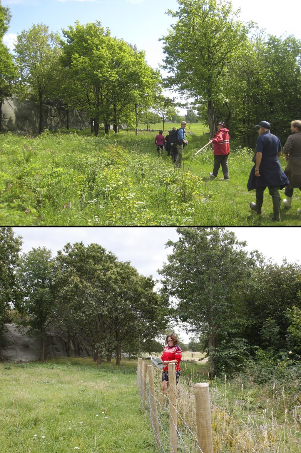 2015. Inngjerding for sauebeite. Planlegging, befaring og gjennomføring av Utvalgt KL tiltak 2011.