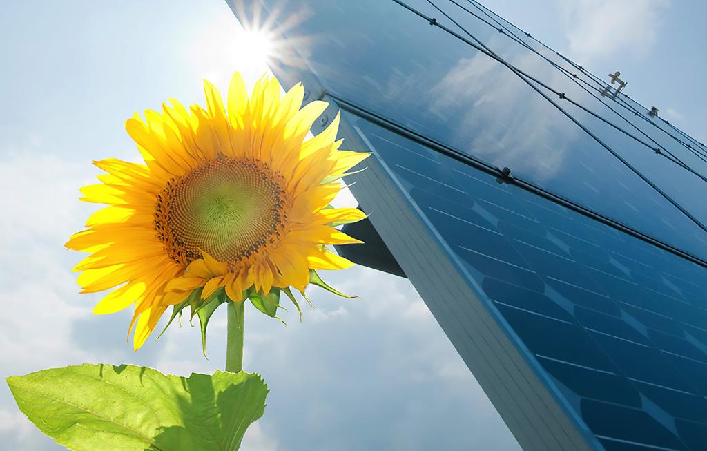 Fordeler med solceller Produser din egen strøm Den mest åpenbare fordelen med solceller er jo at man kan utnytte energien fra sola til å produsere egen strøm kortreist solstrøm som vil redusere