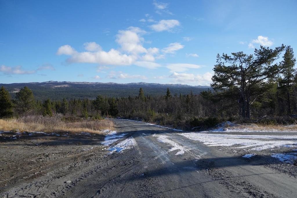 Figur 5: Planområde i øst, sett mot sør.