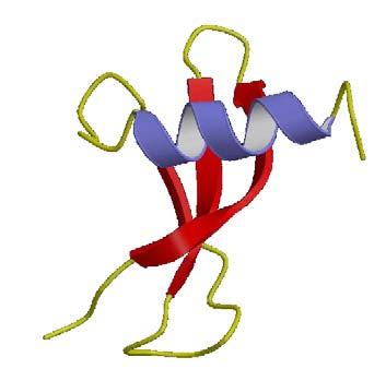 2 The chromodomain The chromatin organisation modifier, the chromodomain, is a conserved ~50 amino acids long motif that is found in a variety of proteins from different species (Paro and Hogness,