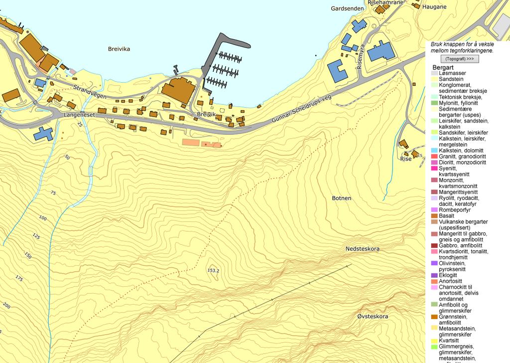 Figur 4: Berggrunnskart fra NGU (NGU, 2018). Oppsprekking Det ble utført registrering av sprekkeorientering på flere lokaliteter innenfor planområdet.