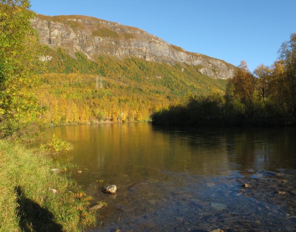 NVEs innstilling Ingen magasinrestriksjoner i Altevann Begrenset forbedring av naturmiljøet produksjonstap konflikt med mvf i