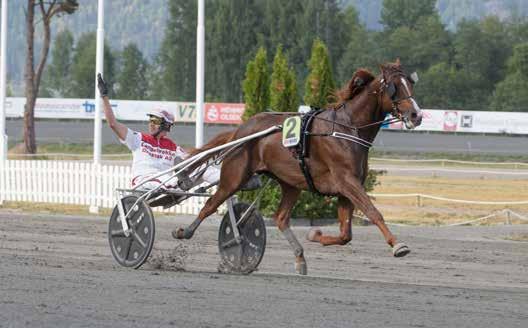 GRATIS INNGANG anekode: 01 Varmingsinfo fra Ole Jonny Solberg JERKEANEN Summer burst - internasjonal V75 Nr 65/2019 Kr 25 Lionel/Gøran Antonsen. Foto: hesteguiden.com www.bjerke.no Torsdag 22.