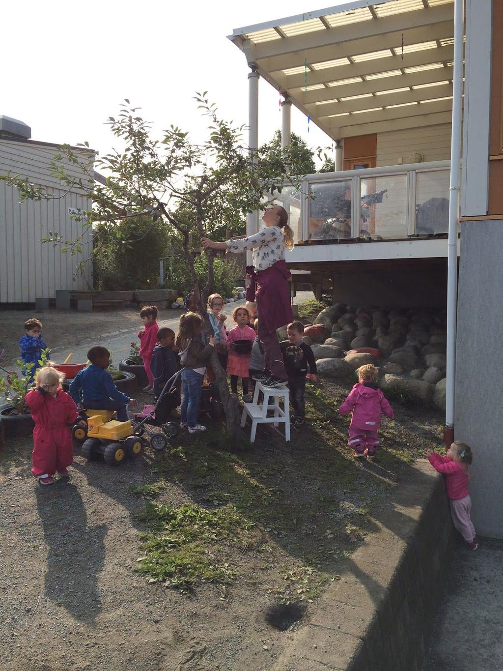 GRØNT FLAGG - MILJØARBEID Trondheim kommune har et mål om at skoler og barnehager skal ha en årlig resertifisering etter Grønt Flaggs kriterier.