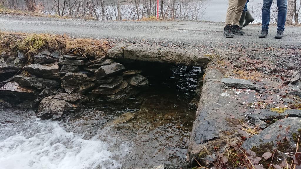 Isen fra bekken dekkes også av og til med snø slik at idet ikke danner seg issvull ut på veien. Dersom det skal gjøres noe med Dambrua, og veien for øvrig, er det viktig at det gjøres utbedringer her.