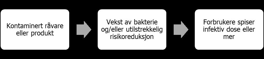 Forhold som har ført til sykdomsutbrudd, karakteriske trekk De fleste listeriosetilfeller skjer når flere uheldige hendelser skjer samtidig (Buchanan et al., 2017).