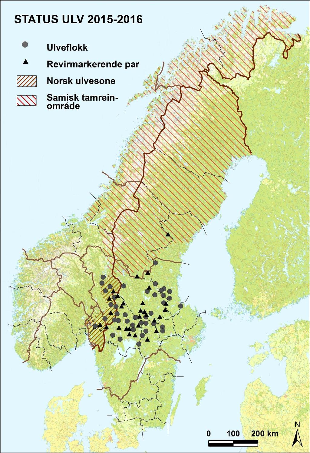 Figur 2. Utbredelsen av 70 stasjonære ulveflokker og par i Skandinavia vinteren 2015/2016 (Wabakken m.fl. 2016). Norsk ulvesone og beiteområde for samisk tamrein er også vist.