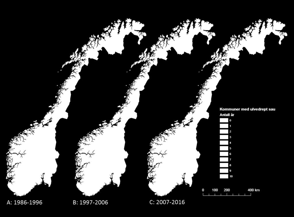 8.2. UTBREDELSE AV SKADER I årene 1986-2016 ble totalt 6615 sauer funnet drept av ulv i til sammen 139 kommuner i Norge. Kommunevis utbredelse av skader økte i denne 31-årsperioden (Fig. 8).
