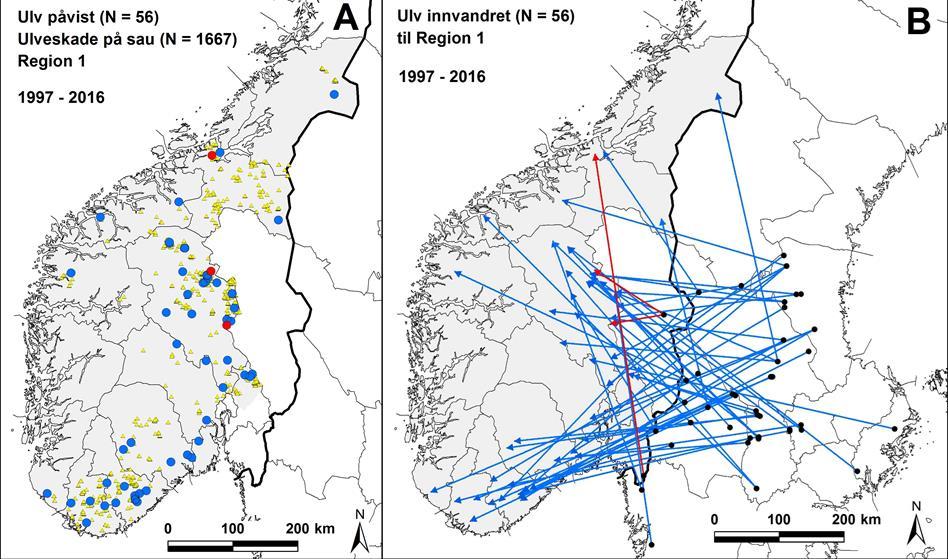 entirely inside the Norwegian wolf management zone (A), in trans-border territories (B), or in Swedish territories (C). Birth territory (red dot) and last confirmed location (arrowhead) are given.