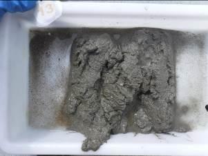 Figur 18: Bilder som viser sedimentet fra