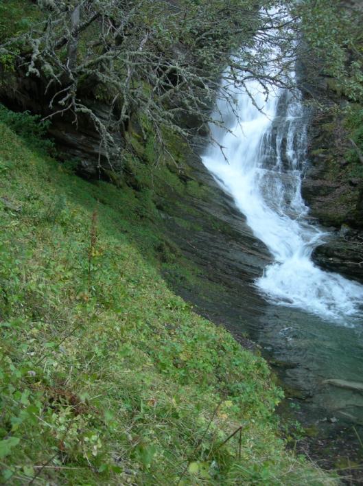 h.). Fugl og pattedyr I influensområdet finnes det ingen registrerte viltforekomster eller verdifulle områder i MDs Naturbase.