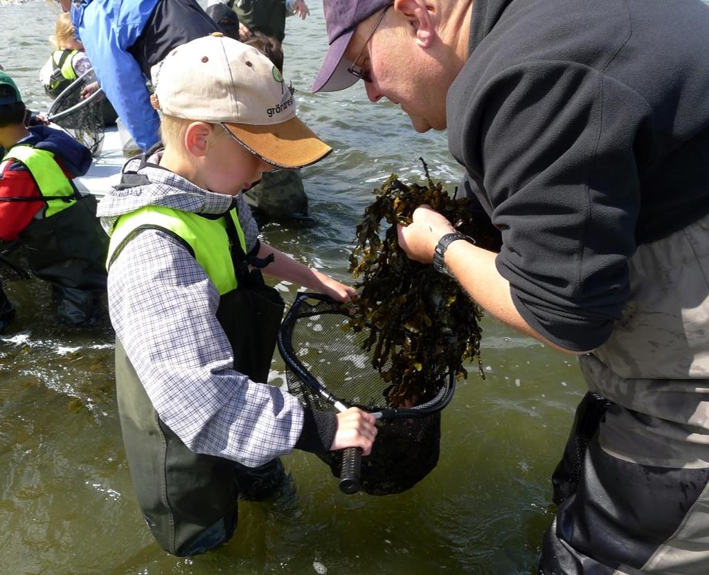 海中の生物探索 プリスクールの子どもたち (3 5 歳児 ) でも