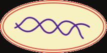 funksjoner i cellen. Arvestoffet kalles oftest bare DNA (deoksyribonukleinsyre). Et DNA-molekyl er 1,5-2 meter langt.