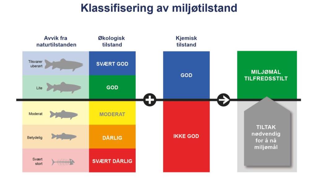 ikke nå miljømålene. Fastsette økologisk tilstand for en vannforekomst.