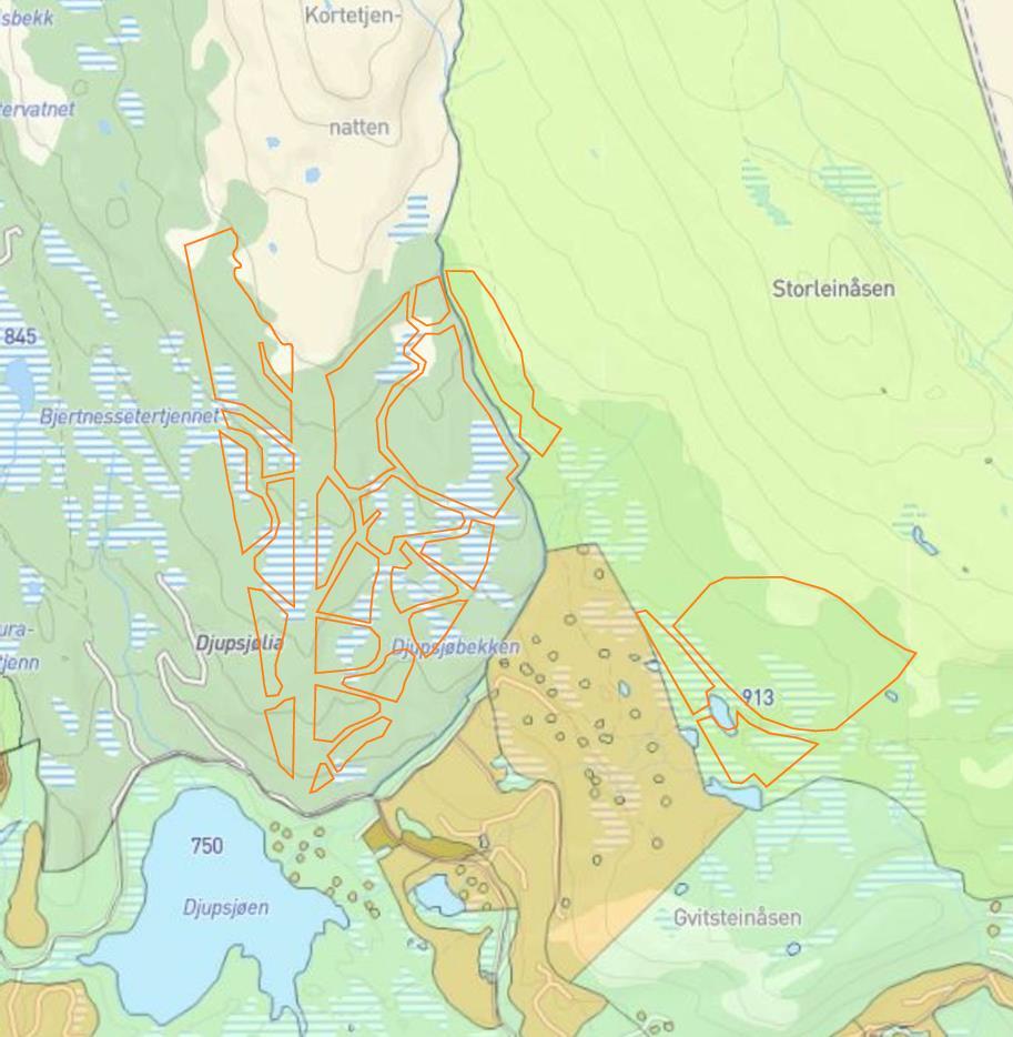 2. Djupsjøen / Djupsjølia Illustrasjon: Innspill om byggeområder med oransje linjer, bakgrunn er kommunens innsynsløsning /GisLine Hvis «Annet», beskriv hvilke formål: Størstedelen av områdene på