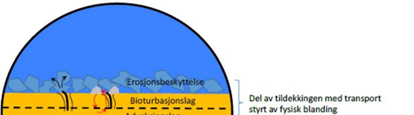 5 Prosjektering av tildekkingslag Figur 5 1 Prinsipp for oppbygging av tildekkingslag (utsnitt fra NGI rapport 20160682 01 TN Tildekking i Stavanger havn Vurdering av stedlige masser og