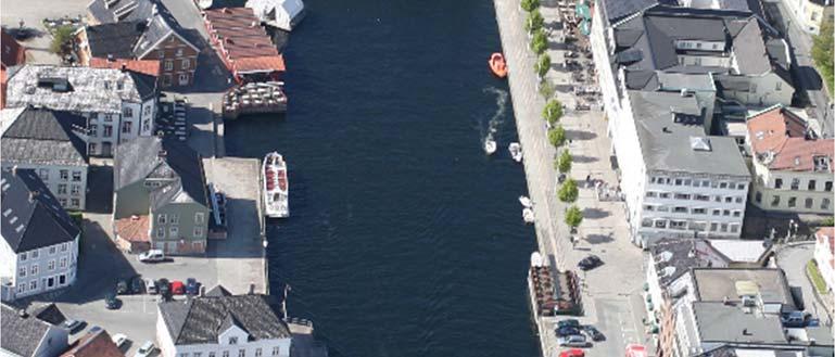 Pollen, Arendal