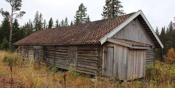 Fordi bevarte skogssetre med intakte bygninger knapt er bevart i Søndre Land kan en stille spørsmålstegn ved Randsfjordmusenes relativt lave verdisetting av enkeltminnene i kulturmiljøet på Vammen.