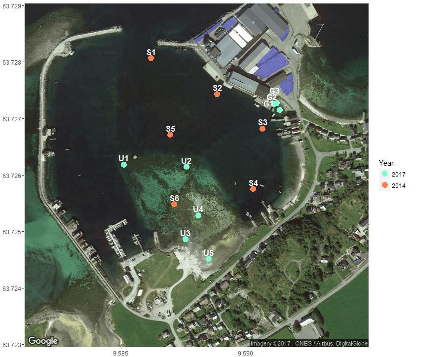 Miljøtekniske sedimentundersøkelser og tiltaksplan 5 av 15 Figur 5. Kart over alle stasjoner for uttak av sedimentprøver i Uthaug havn, Ørland kommune, i 2014 (rød) og 2017 (grønn). Tabell 1.