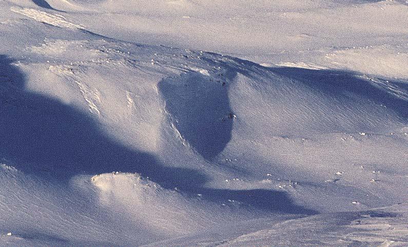 Trosser væ Isola Takshingel Norsk klima - En real utfordring Det sies ofte at vi bor i et land for spesielt interesserte.