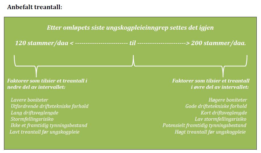 Standard for bestand med ordinært