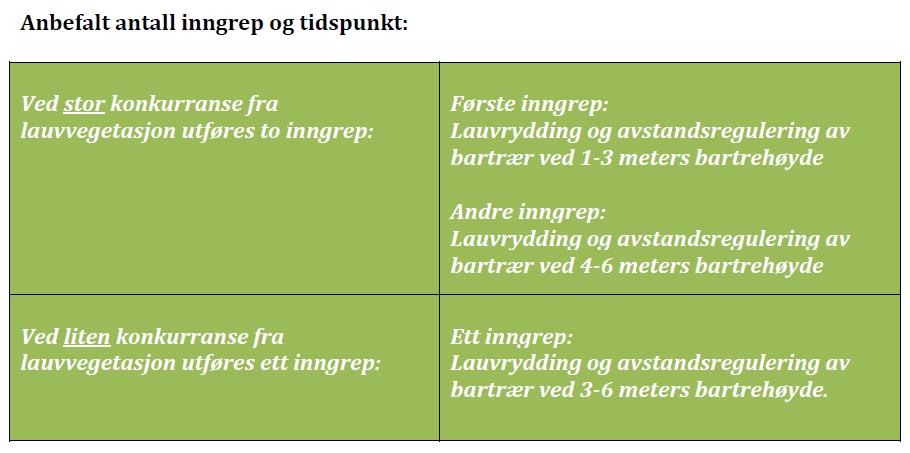 med etterslep i ungskogpleien