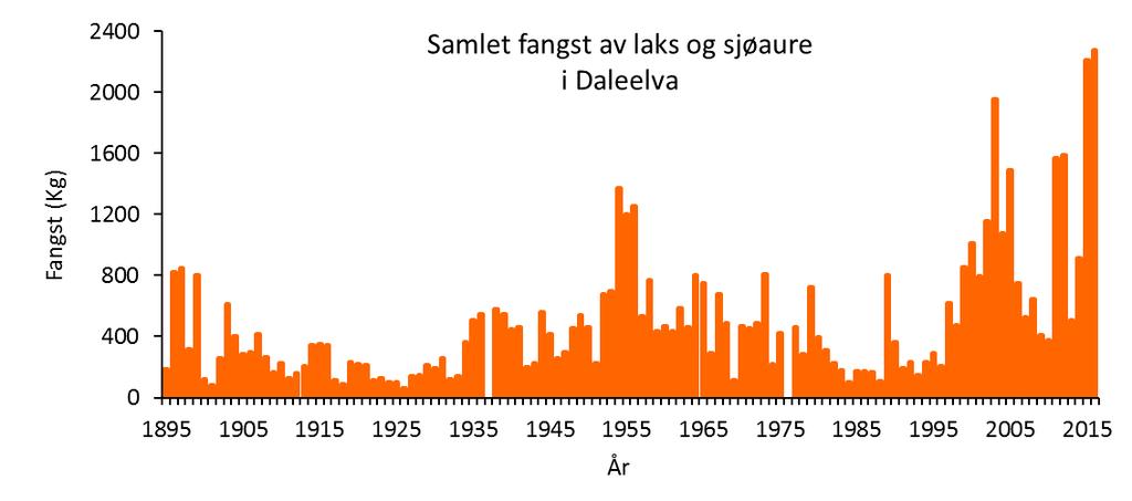 3.0 Resultater og diskusjon 3.1 Bestandssituasjon for laks og sjøaure Den offisielle fangststatistikken for Daleelva går tilbake til 1895 (Figur 2).