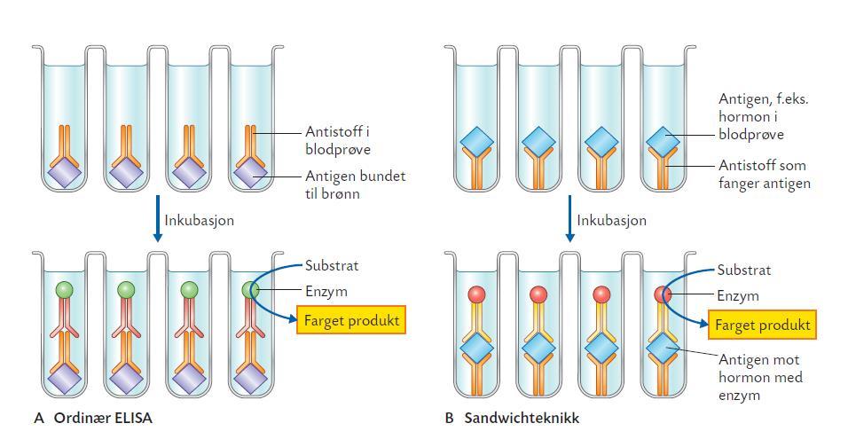 Immunassay