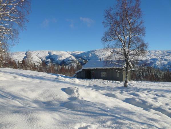 Forholdet til friluftsliv Det har vært kontakt med; Helgeland friluftsråd Brurskanken turlag / DNT Vefsn Jeger- og Fiskerforening Mosåsens venner