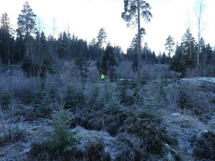 Innledning Bakgrunn for registreringen av automatisk fredete kulturminner er regulering på Langeland gbnr. 132/2 i Ullensaker kommune.