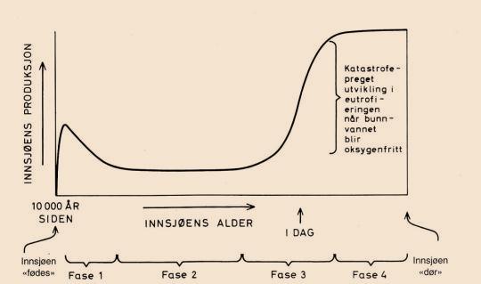 Figur 1. Forholdet mellom innsjøens produksjon og alder, fra fødsel til død. (Økland, J.