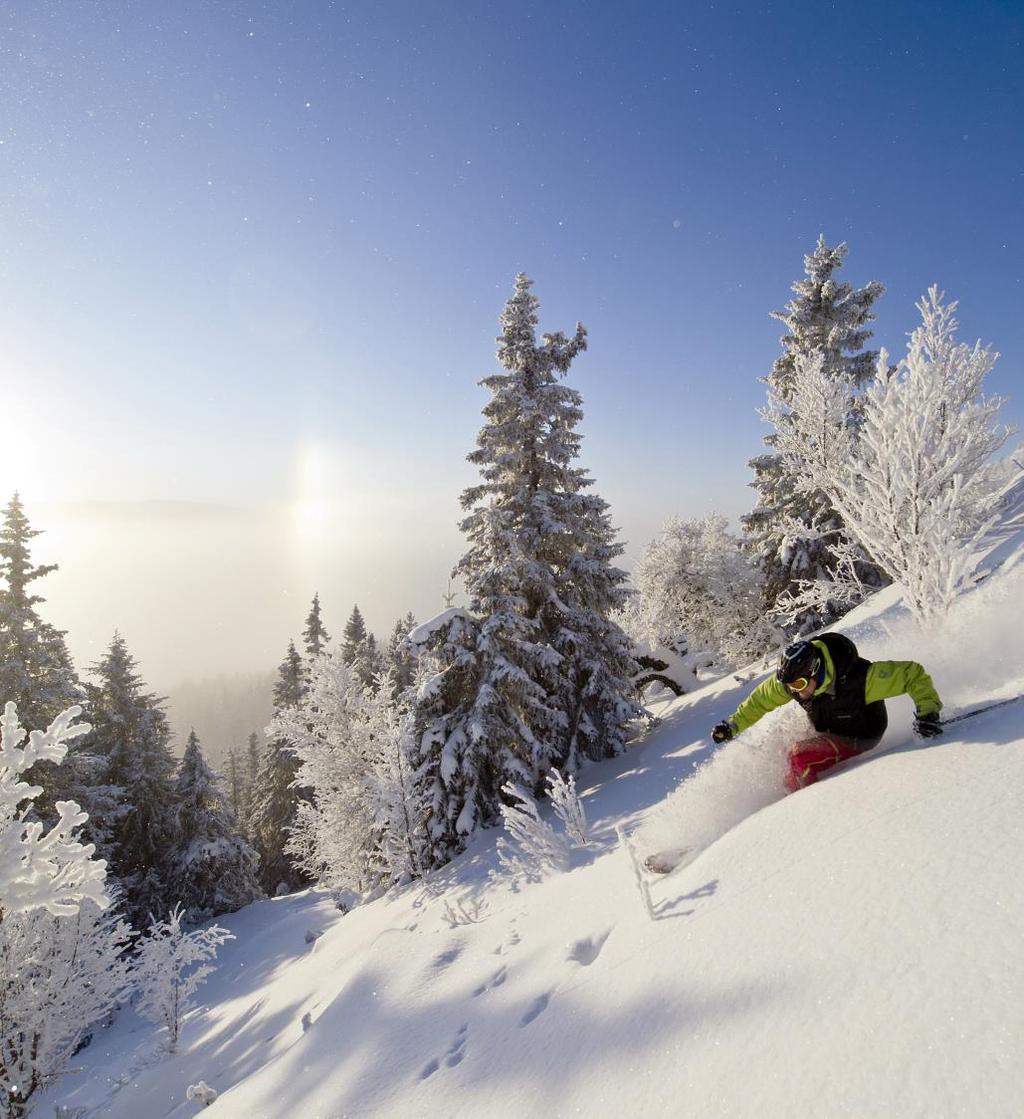 HVORDAN MØTER LILLEHAMMER FREMTIDEN?