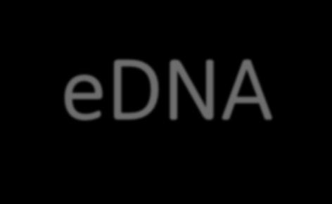 Miljø-DNA = Environmental DNA =
