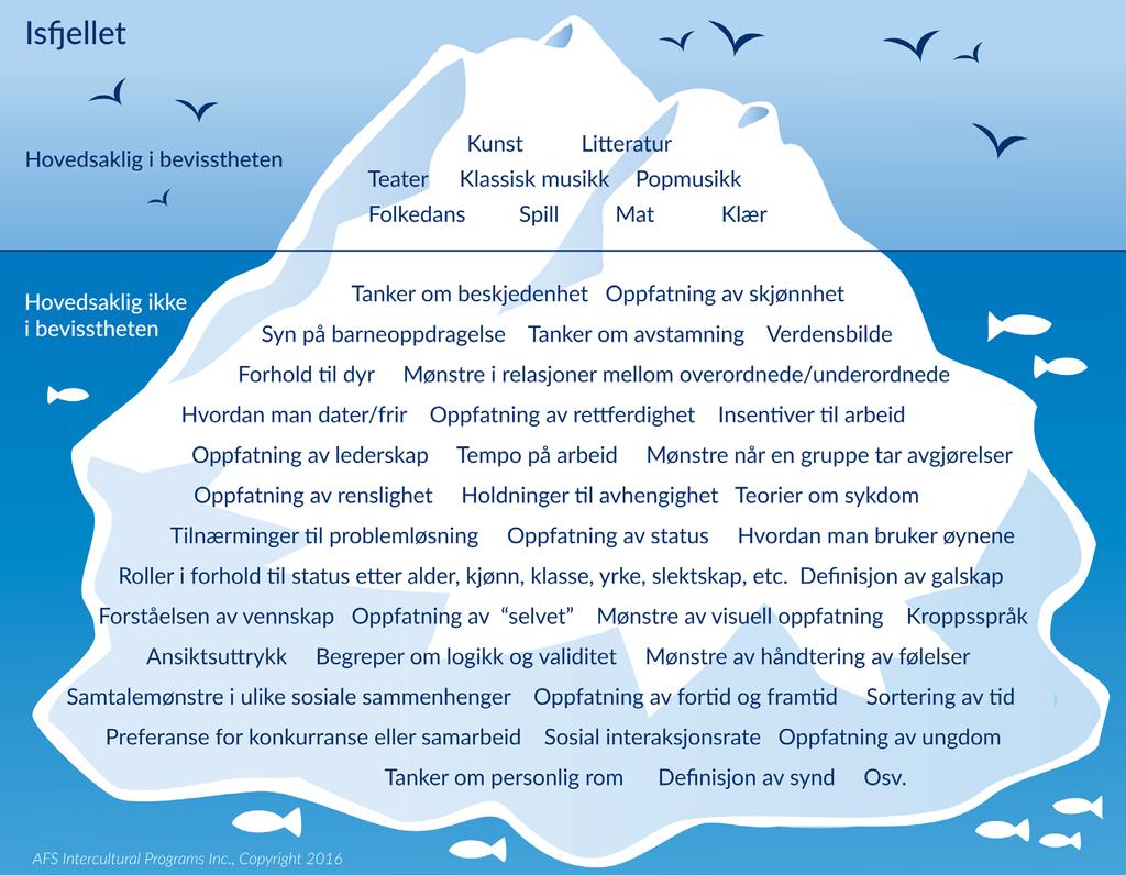 Kultur og tilpasning I AFS snakker vi ofte om utfordringene og spenningen rundt det å tilpasse seg en annen kultur.