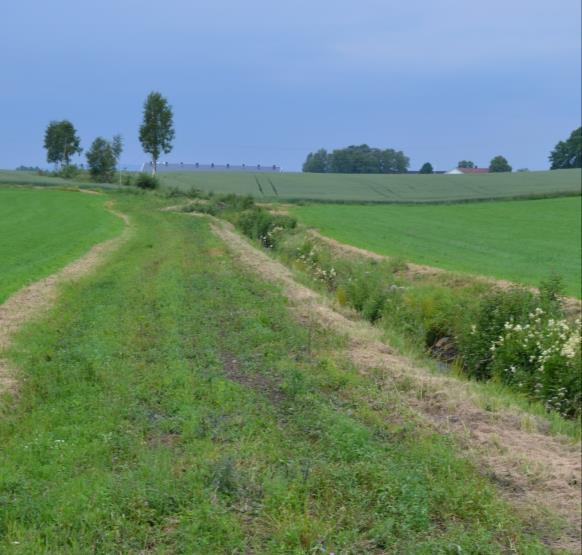 Miljøtema avrenning til vann Grassoner Grasdekte vannveier og grasstriper i åker Flerårig grasdekke i dråg på åkerarealer (6 m bredde) Grasdekke på tvers av fallet i lange hellinger (2 m bredde) 2018