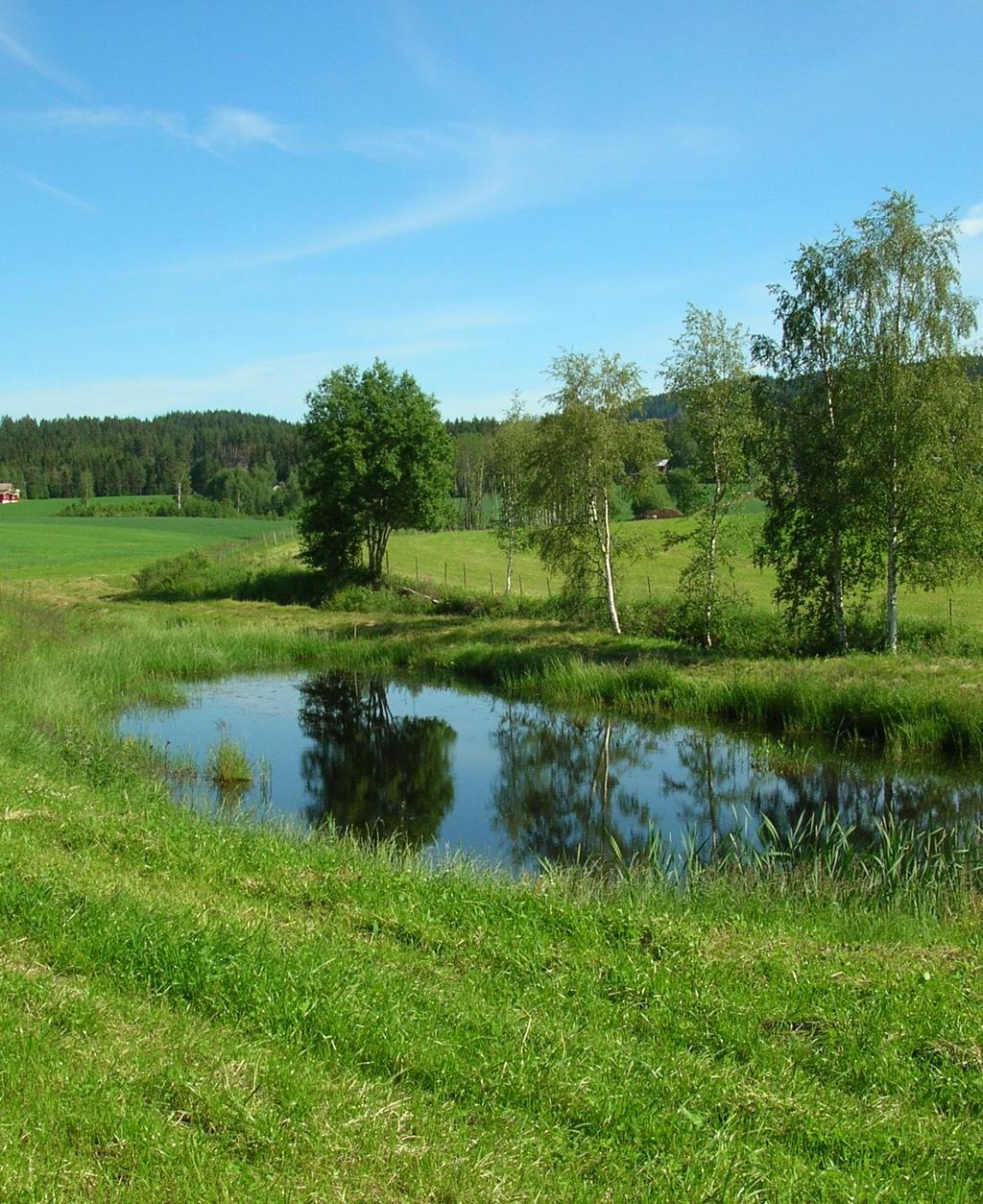 Miljøtema avrenning til vann Fangdam Fangdam må være etablert på eller i tilknytning