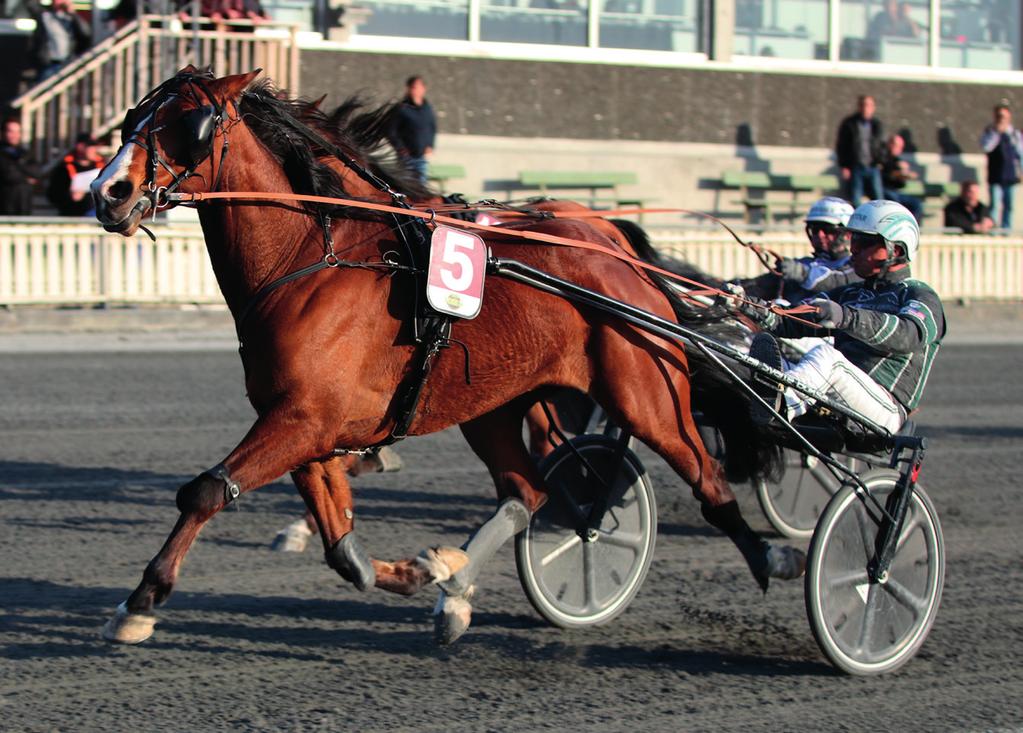 40 Oriola mot Valle Tiril, Njølstad Jela, røya Lill og Solberg Jela i V65-4/V5- Watchdog gjør sin første start på orus i ny regi, møter Charming