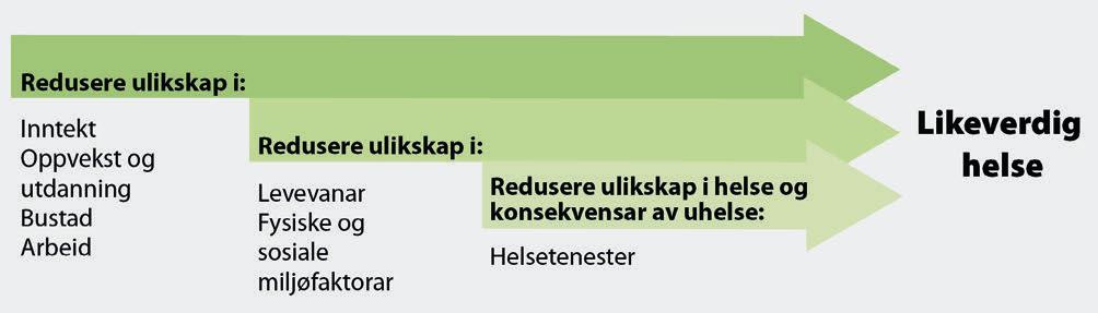 2018 2019 Meld. St. 19 55 Figur 4.4 Døme på innsatsområde Døme på innsatsområde der ein kan gjere ein innsats for å redusere sosiale helseforskjellar.