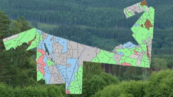 Skog & tømmer Norsk PEFC Skogstandard