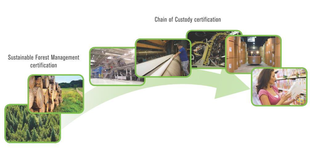 Foredling & handel PEFC Sporbarhetsstandard PEFC International Chain-of-Custody (Sporbarhetssertifisering)