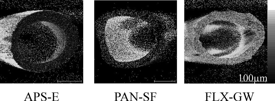 Fig. 4. Images of secondary ions related to bovine serum albumin. BSA BSA Fig. 4 BSA BSA BSA Fig. 4 BSA FLX-GW 2 FLX-GW BSA 4.