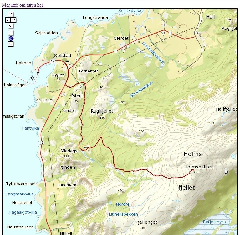 Følg røde merker opp gjennom lia og mot toppen. Gradvis forlater du bjørkeskogen og kommer opp i fjellet.