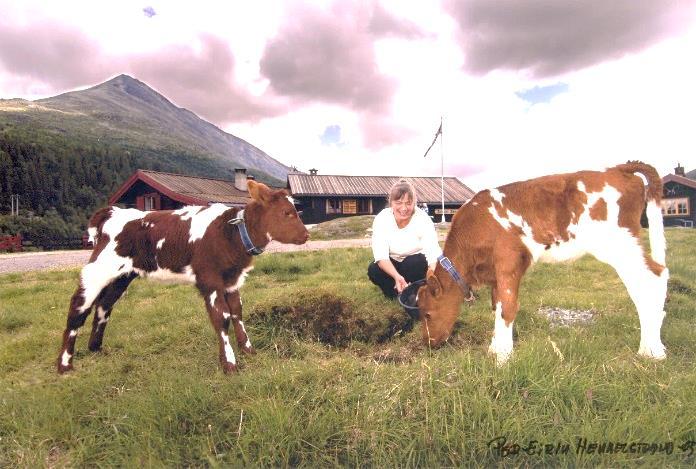 Side: 14/33 Kulturminner og kulturmiljøer I Telemark er seteranlegg i fjellområdene viktige.