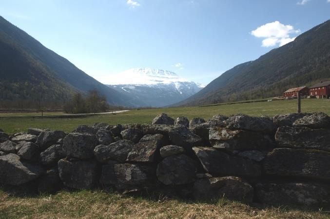 Et fredet kulturminne er et viktig element i kulturlandskapet, og del av vår kulturarv. I RMP er gravhauger, gravfelt, helleristninger, hustufter og veifar prioritert for tilskudd til skjøtsel.