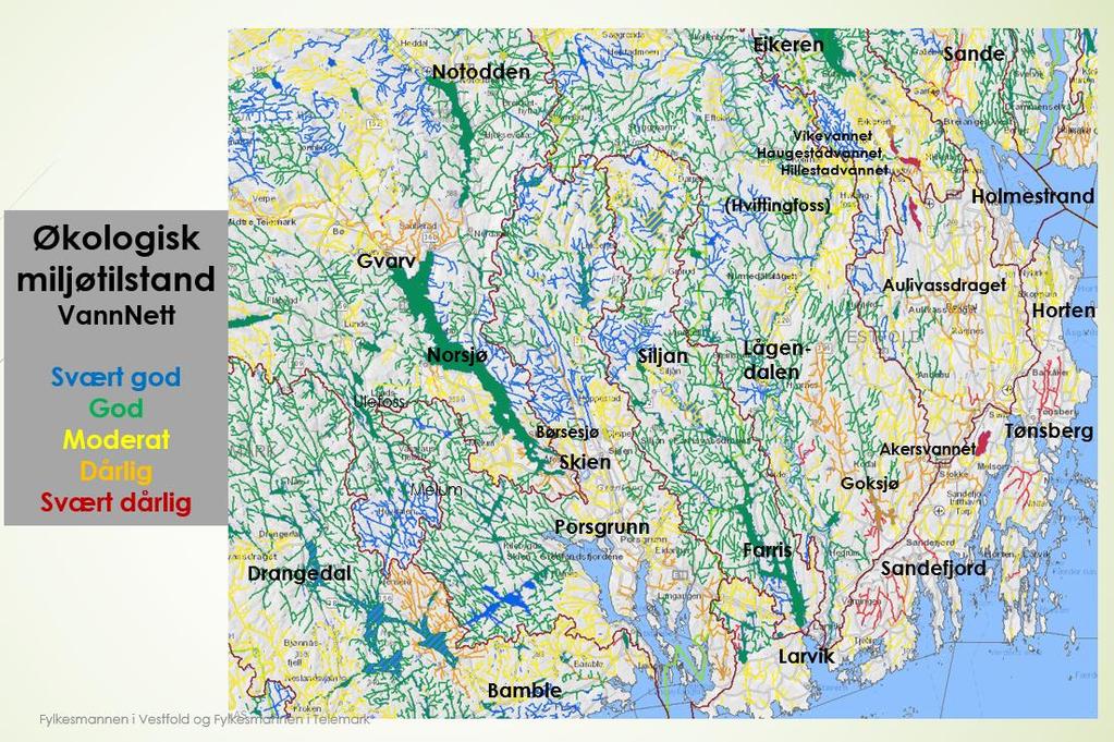 Disse områdene har fått prioritet for vannmiljøtiltak i dette programmet. Eksempler på slike områder er Hillestadvannet, Haugestadvannet og Vikevannet som renner ut i Eikeren, og Akersvannet i Stokke.