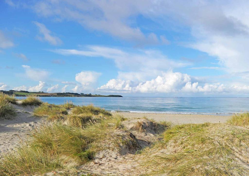 Velkoen til Eivindveen 4 Rekkehusene 6 Planteniner 1 Odet 0 Vi byer uansett 6 Betasbetinelser 7 I Eivindveen har du alt du trener i kort avstand fra dørkaren.