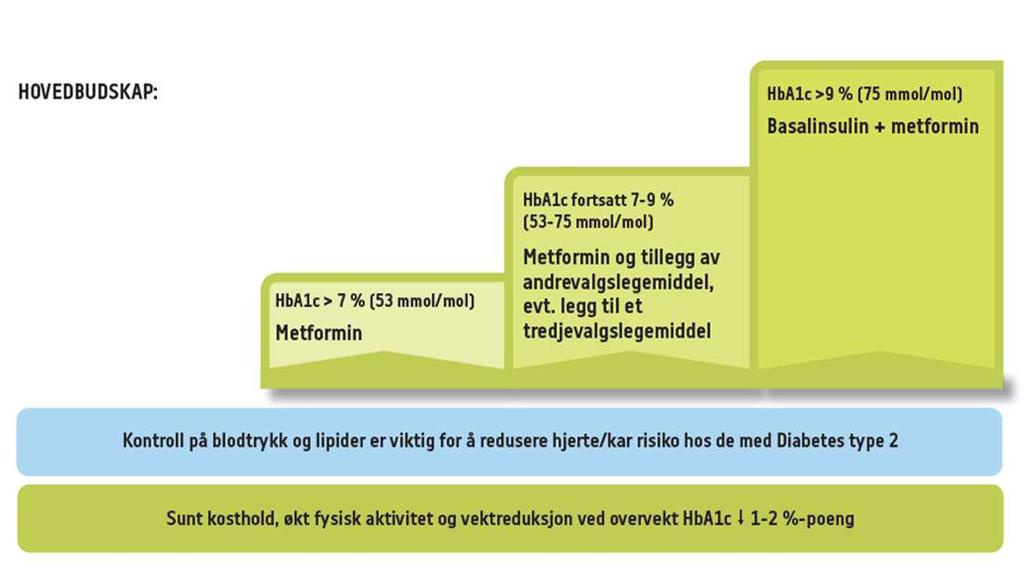 KUPP - Diabetes type 2 i allmennpraksis Hva sier vi til fastlegene?