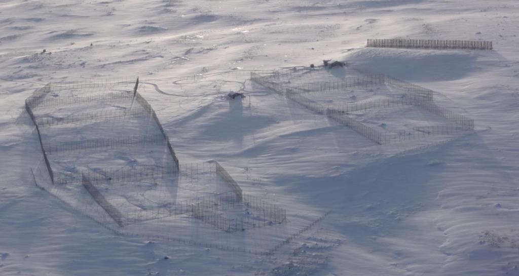 2 Metodar 2.1 Avlsstasjon og innhegningar Avlsstasjonen på Sæterfjellet i Oppdal ligg i naturleg fjellrevterreng i høgfjellet (1380 moh., Figur 1).