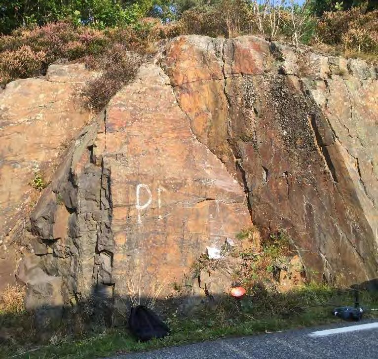 SKUGGEVIK - LILLESAND 5/10 Langs veien til Skuggevik, i en relativt ferskt veiskjæring, finnes det en bergart med tydelig rusten rødbrun forvitringshud, samt tegn til oksidering av jern.