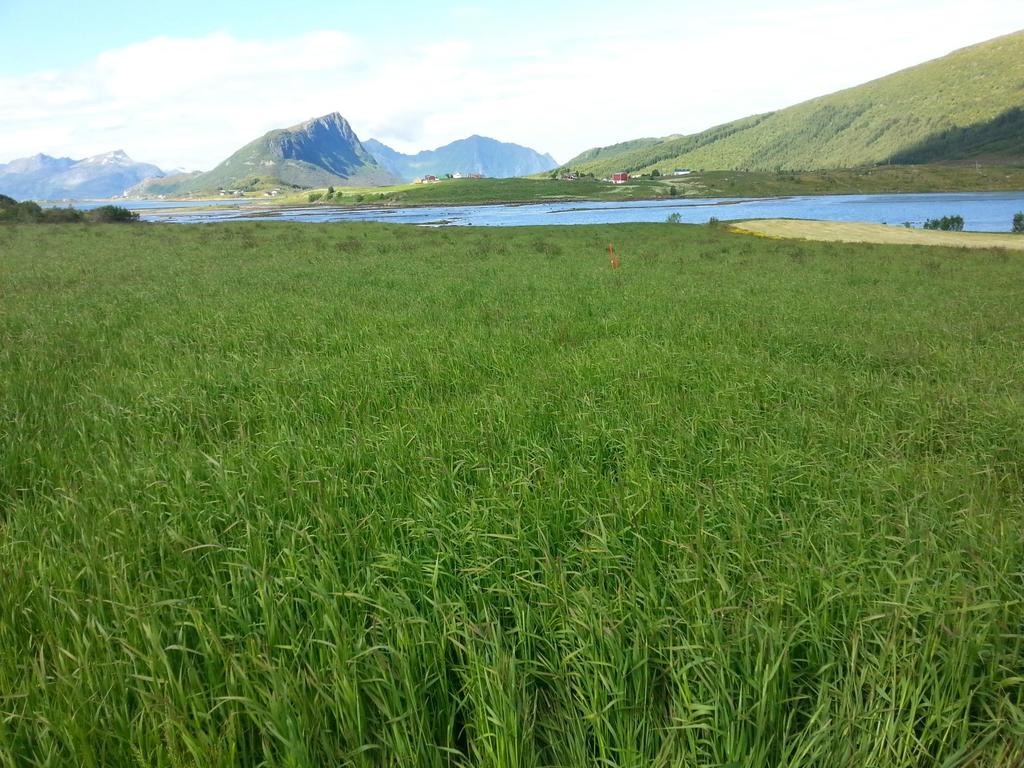 Landbruket og vannforskriften Scenariokonferanse Bodø 8.